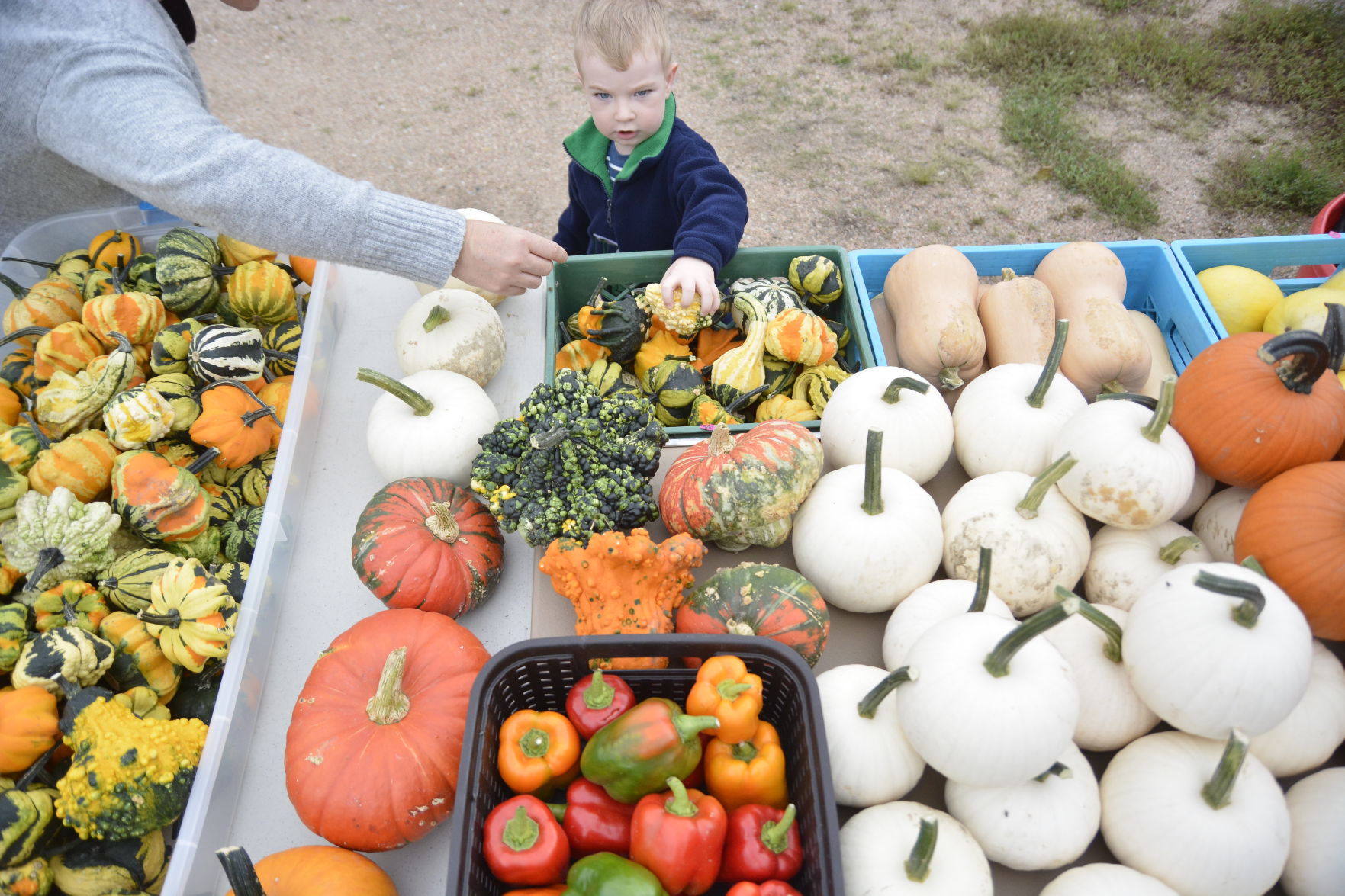 10-6-19 Prairie Loft HarvestFest (48).JPG